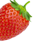 Morango Morango